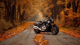 High-Resolution Harley Davidson Motorcycle Pictures