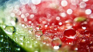 Vibrant Watermelon Slices: HD Desktop Background