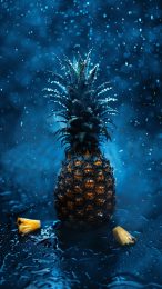 Download Free Pineapple Wallpaper for Android Devices