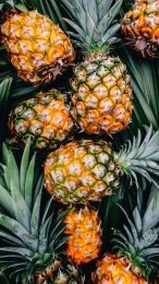 Mobile Wallpaper: Refreshing Pineapple Photo for iPhone