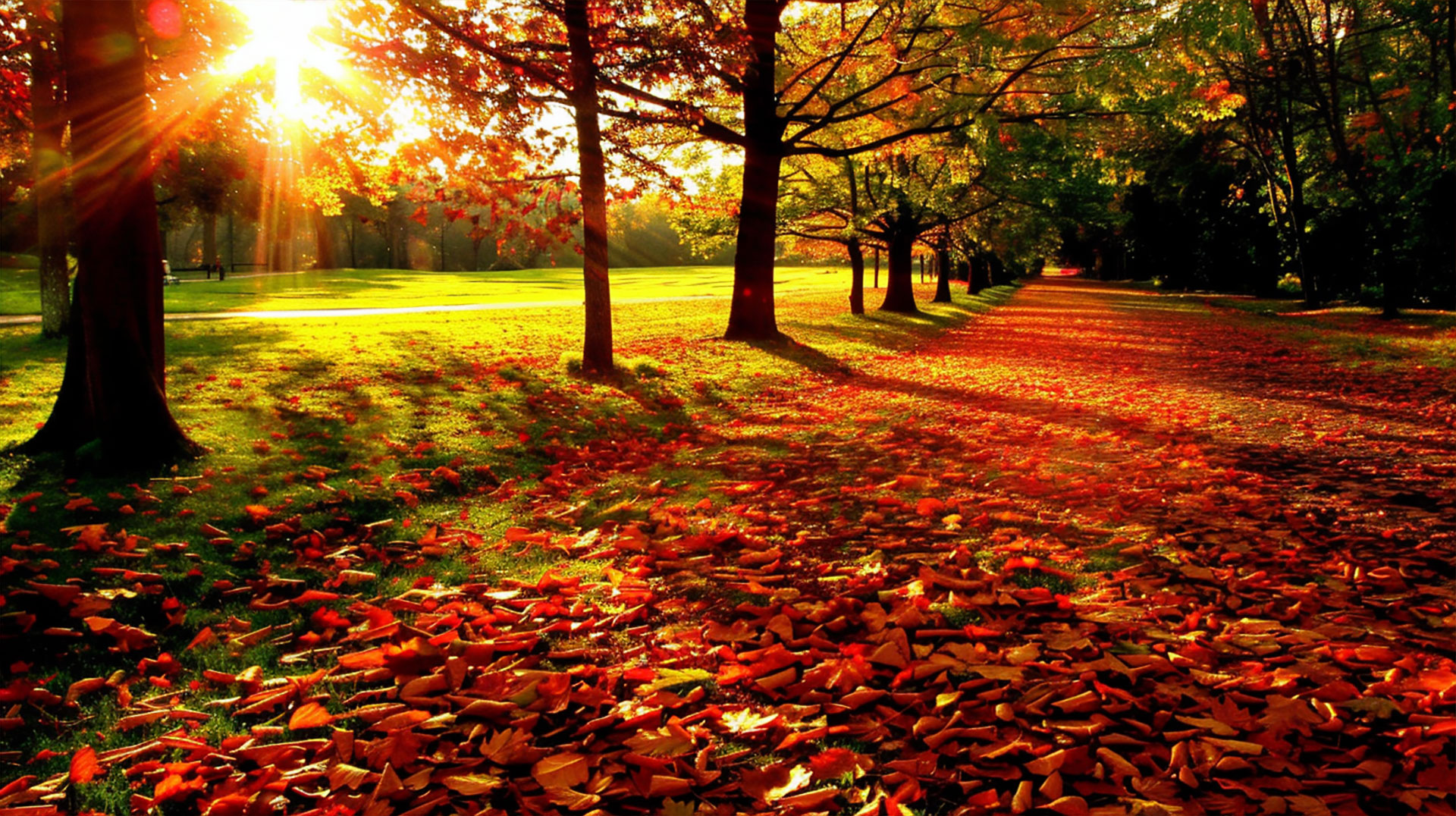 Autumn Prelude: Late Summer Early Fall Desktop Background