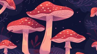 Free downloadable psychedelic mushroom wallpaper for desktops