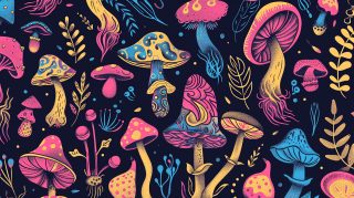 Psychedelic mushroom wallpaper in vibrant HD resolution