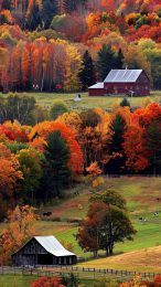 Huawei New England Fall Wallpaper for Android 4K