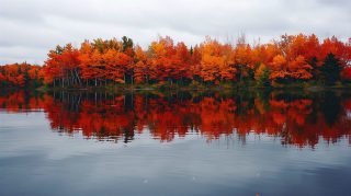 Free Download: New England Fall Computer Wallpaper