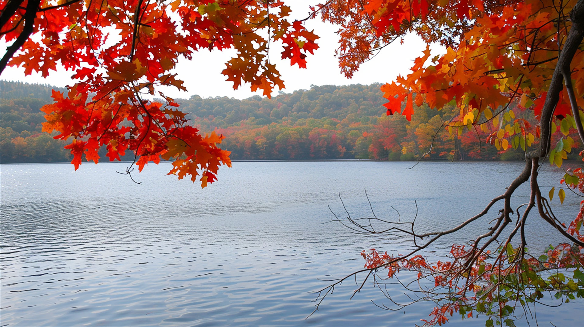 New England Fall AI Image HD Wallpaper