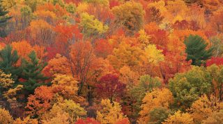 Ultra HD New England Fall Foliage Desktop Background