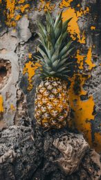 Colorful Pineapple Images for Your Mobile Screen