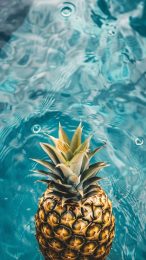 Pineapple Wallpaper for Your iPhone in HD