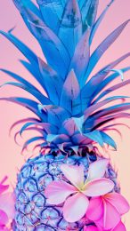 Colorful Pineapple Pictures: Ideal for Mobile Backgrounds