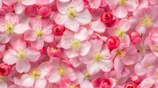 AI-Generated Pink Flower Background Image