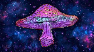 Free psychedelic mushroom image for desktop wallpaper