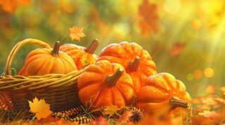 Festive Thanksgiving Wallpaper Collection