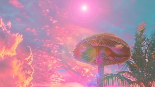 Vibrant Trippy Mushroom Image for Stunning HD Wallpaper