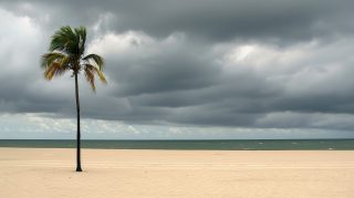 Free Wallpaper: Vibrant Tropical Beach Scenes in HD