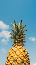 Tropical Pineapple Wallpaper Download for Samsung Galaxy