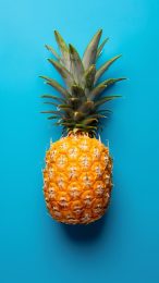 Eye-Catching Pineapple Photos for Your Smartphone