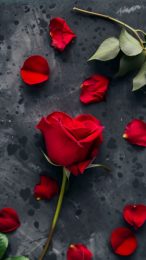 Abstract Aesthetic Valentine's Day iPhone Wallpaper