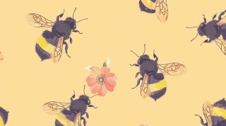 Explore Free Stock Photos of Vintage Bee Aesthetic