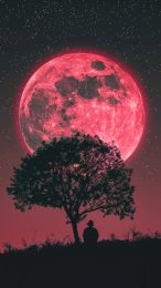 Enchanted Witchy Moon iPhone Wallpaper in Ultra HD