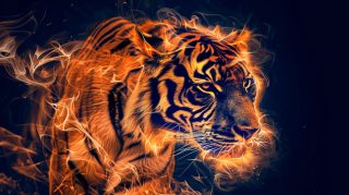 Ultra HD Fire Tiger Wallpaper for Stunning Visuals