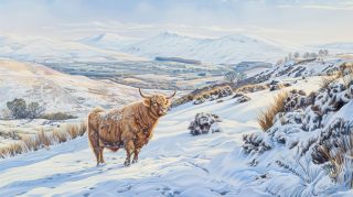 Stunning Highland Cow AI Wallpaper for Your Desktop