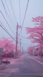 Download Vibrant Pastel Pink Aesthetic Anime Photos