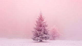 Pink Christmas Tree Wallpaper: Aesthetic 4k HD Download