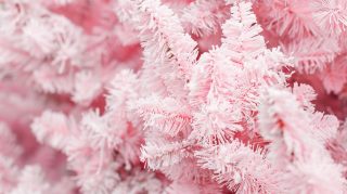 Unique Pink Christmas Tree HD Wallpaper Collection Online