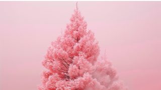 Immerse in Pink Christmas Tree Aesthetic HD Wallpapers