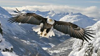 Stunning 4K American Flag and Bald Eagle Image