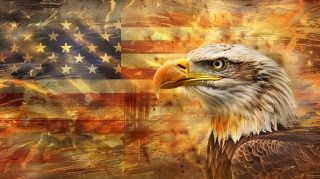 American Flag Bald Eagle HD Wallpaper for Desktop