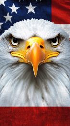 Free Download: American Flag Eagle Wallpaper for All Phones