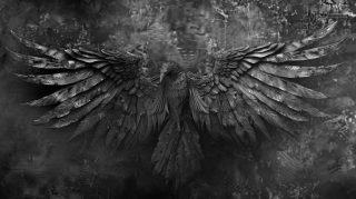 Angel and Demon Wings HD Wallpaper for Free Download