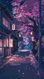 captivating sakura tree night images for your phone