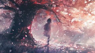 High-Quality Sakura Tree PC Wallpapers for Anime Lovers