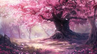 Stunning Sakura Tree Images Ideal for Desktop Backgrounds