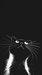 Download Free Black and White Cat Images for iPhone