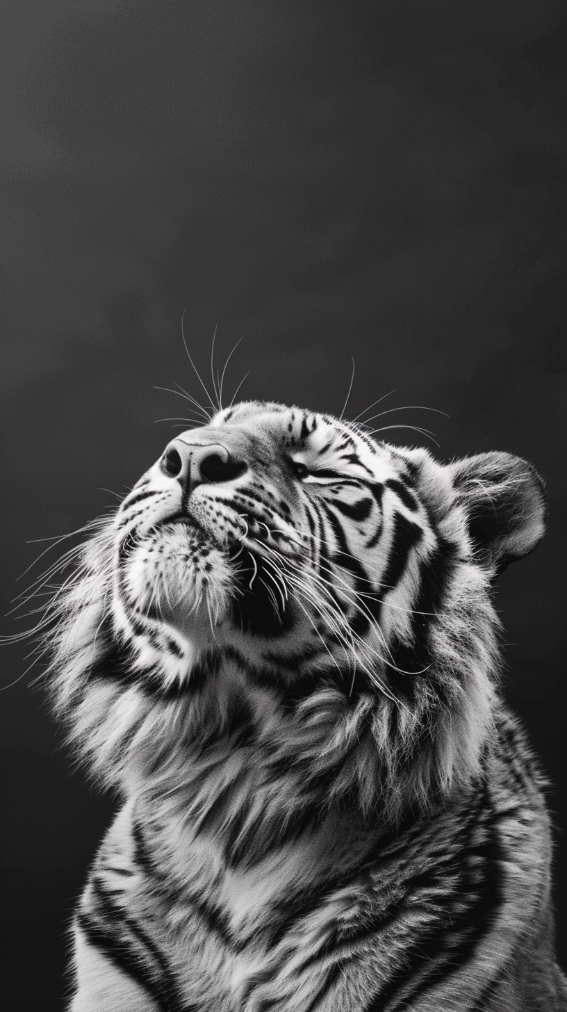 High-Definition Tiger Wallpaper for Mobile Phones