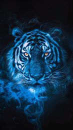 Free Blue Fire Tiger Wallpaper in 9:16 Aspect Ratio