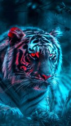 Stunning Blue Fire Tiger Mobile Wallpaper for iPhone