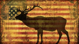 Cool Deer Wallpaper with American Flag in HD