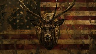 PC Wallpapers: Cool Deer and Flag in 16:9