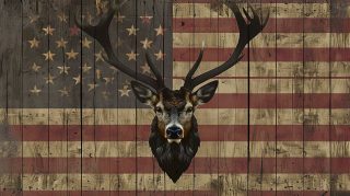 American Flag Inspired Deer Pictures for Desktop