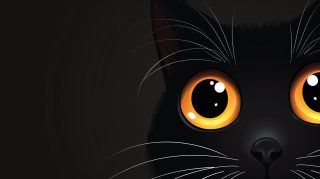 Gorgeous 8K Black Cat Images for Desktop Background