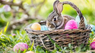 Ultra HD 4K Easter Bunny Digital Background Images