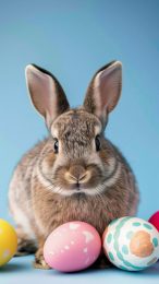 Easter Bunny Mobile Wallpapers for iPhone and Android