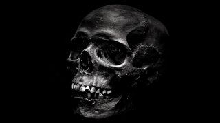 High-Quality Dark Skull Stock Photos for Wallpaper