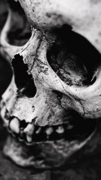 Dark Skull Backgrounds: Perfect for Mobile Screens