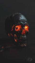 Free Evil Skull Digital Background for Android Phones